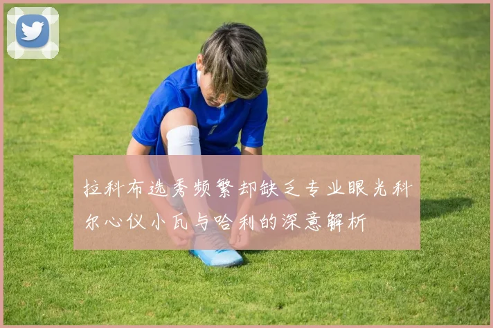 拉科布选秀频繁却缺乏专业眼光科尔心仪小瓦与哈利的深意解析